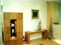 세인성형외과의원