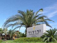 써니데이제주