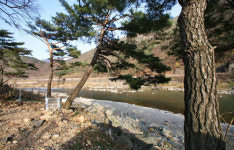 강변살자펜션