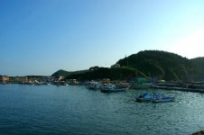 호도섬 섬사랑이야기