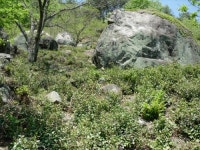 화개달빛정원펜션