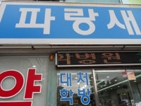 파랑새약국