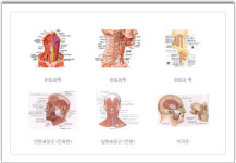 함수영건강지킴이