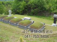 금산분묘이장공사
