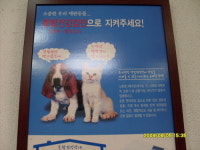 가락동물병원