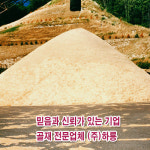 하룡