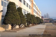 대성중학교
