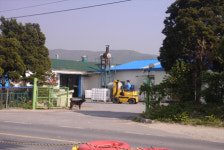 푸른교역