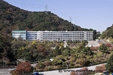 동수영중학교