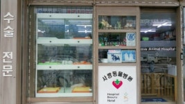 사랑동물병원