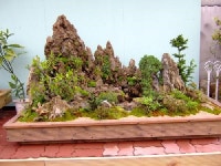 새움터