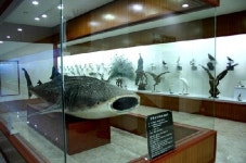 지당자연사박물관