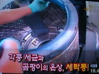 비치움 홈케어 강앤신쿨크리닝