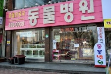 동물의왕국동물병원