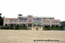 와동초등학교