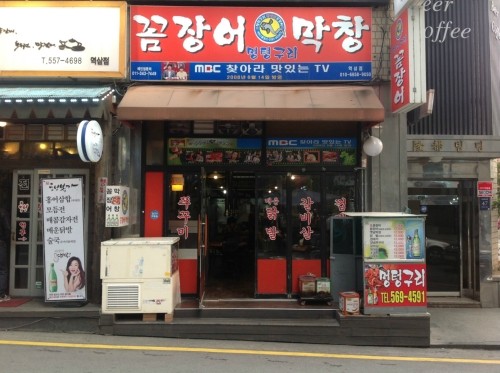멍텅구리 사진 2