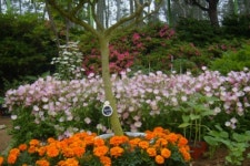 태안 행복스케치 펜션