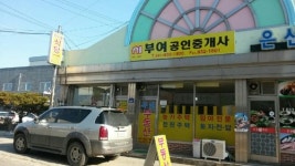 부여공인중개사사무소