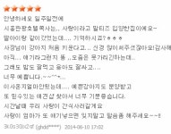 머피애견