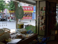 영국동물병원