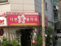 샤론꽃플라워