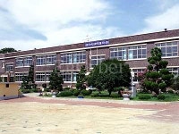 안면초등학교