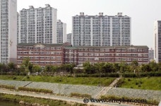 금명초등학교