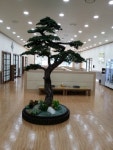 미석특수조경