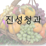 진성청과