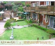 숲속의 바이올린