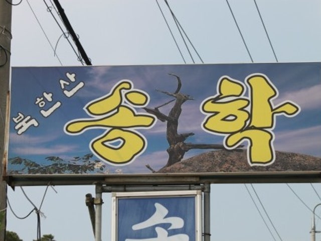 송학