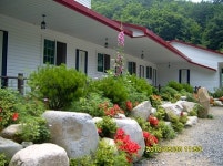 하얀민들레펜션