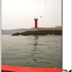 속초갈릴리교회