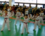 석학태권도체육관