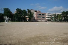 문정중학교