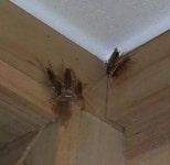 로취버스터즈 동천점