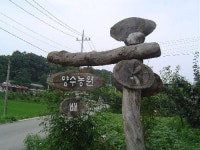 양수농원
