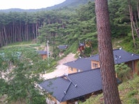 구룡사