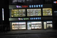 남문동물병원
