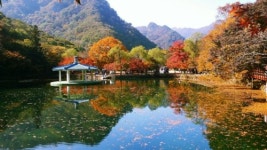 동광패밀리농장