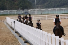구미시승마장