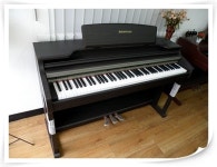 새한종합피아노사