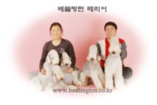 골든블랙123