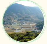 직전녹색농촌체험마을