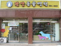 관양동물병원