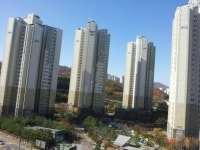 수포인트공인중개사사무소