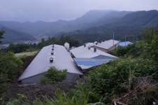 초원흑돼지농장