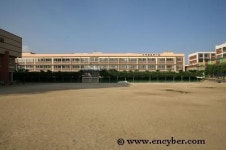 신용초등학교
