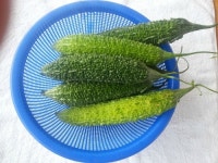 창성농장