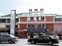 태백역 태백선
